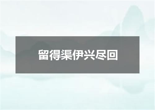 留得渠伊兴尽回