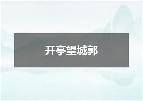 开亭望城郭