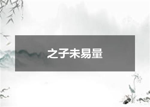 之子未易量