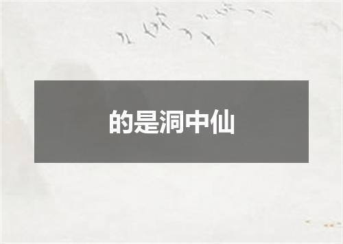的是洞中仙