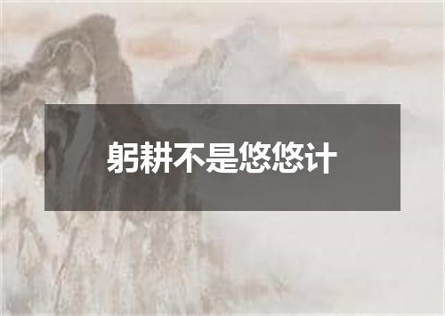 躬耕不是悠悠计