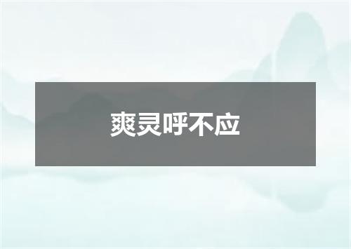 爽灵呼不应
