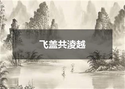 飞盖共淩越