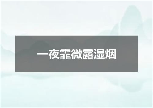一夜霏微露湿烟