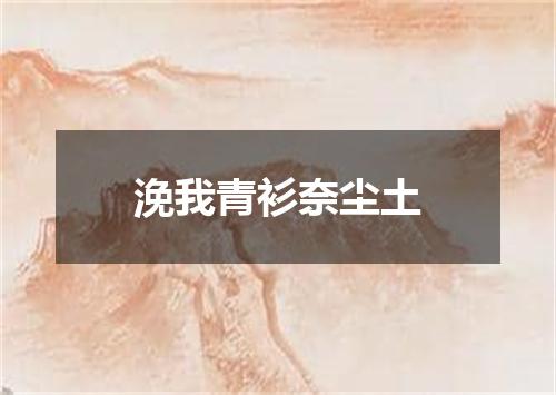 浼我青衫奈尘土