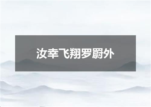 汝幸飞翔罗罻外