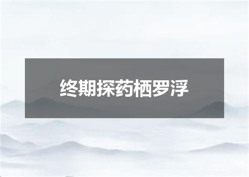 终期探药栖罗浮