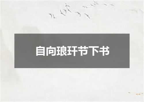 自向琅玕节下书