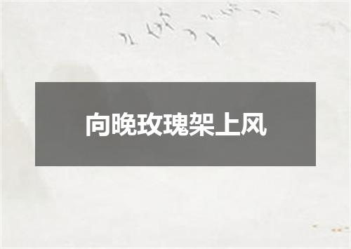 向晚玫瑰架上风