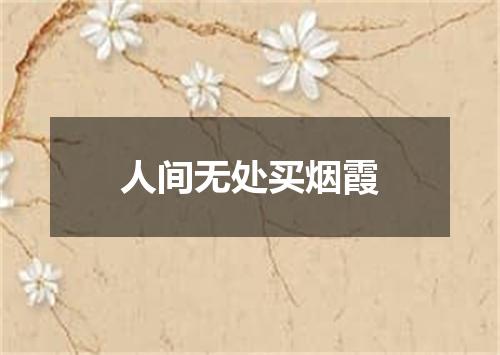 人间无处买烟霞