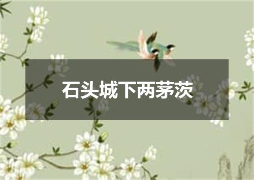 石头城下两茅茨