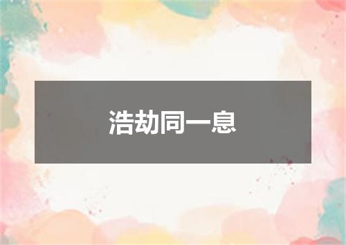 浩劫同一息