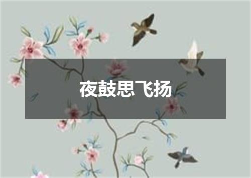 夜鼓思飞扬
