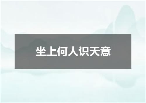 坐上何人识天意