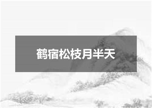 鹤宿松枝月半天