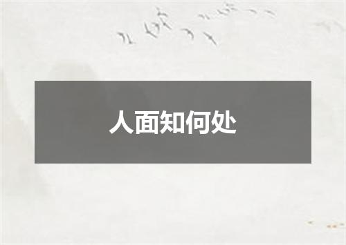 人面知何处