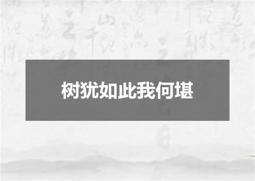 树犹如此我何堪