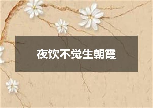 夜饮不觉生朝霞