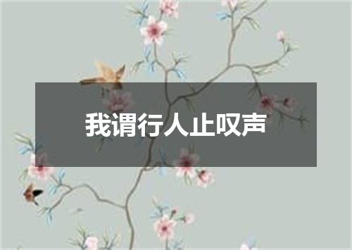 我谓行人止叹声