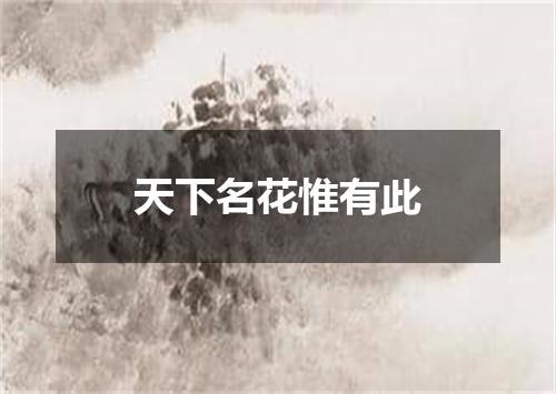 天下名花惟有此