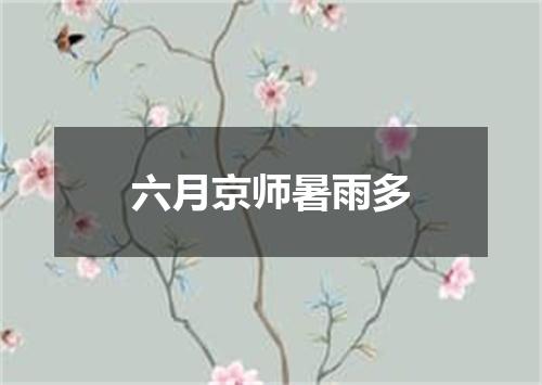 六月京师暑雨多