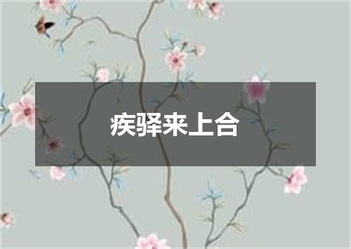 疾驿来上合