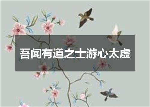 吾闻有道之士游心太虚