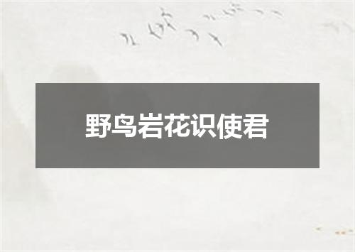 野鸟岩花识使君