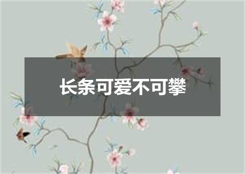 长条可爱不可攀