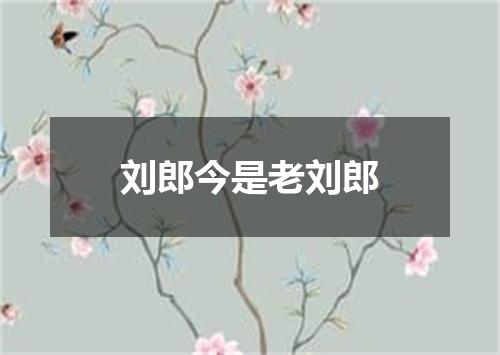 刘郎今是老刘郎