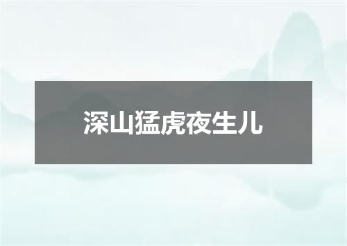 深山猛虎夜生儿