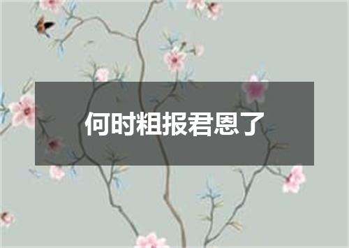 何时粗报君恩了