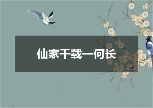 仙家千载一何长