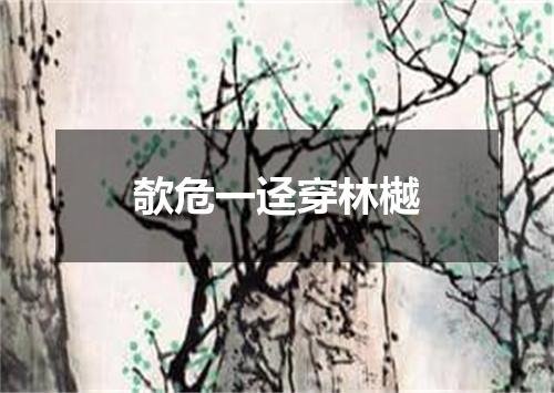 欹危一迳穿林樾