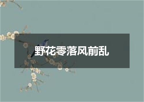 野花零落风前乱