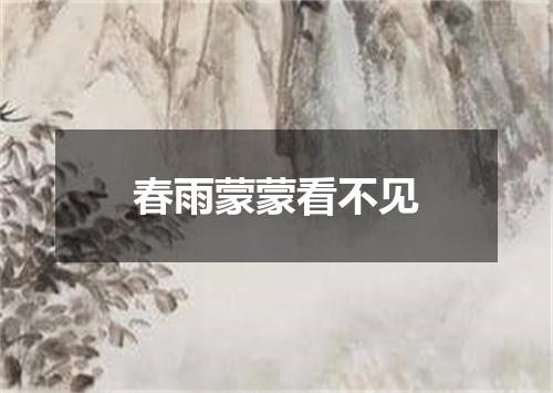 春雨蒙蒙看不见