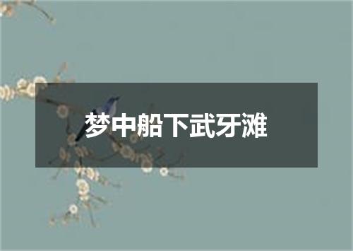 梦中船下武牙滩