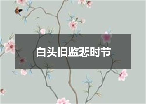 白头旧监悲时节