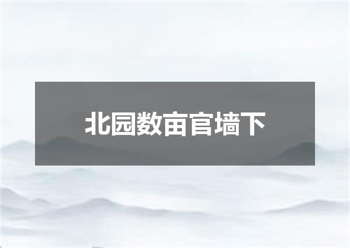 北园数亩官墙下