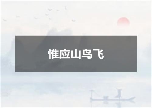 惟应山鸟飞