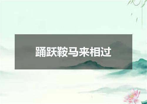 踊跃鞍马来相过