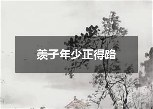 羡子年少正得路