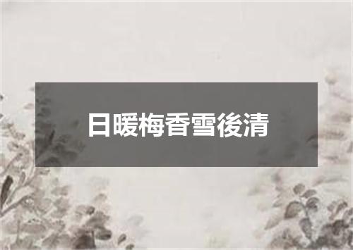 日暖梅香雪後清