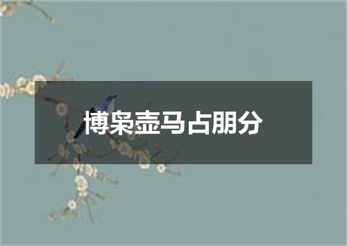 博枭壶马占朋分