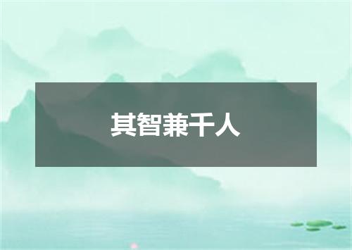 其智兼千人