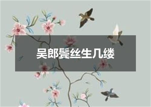 吴郎鬓丝生几缕