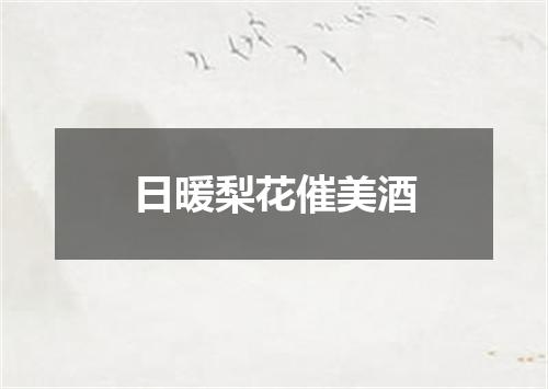日暖梨花催美酒