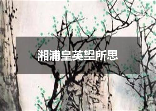 湘浦皇英望所思
