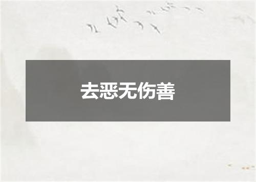 去恶无伤善