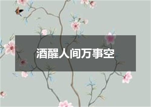 酒醒人间万事空